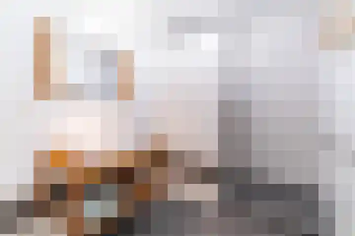 Werfpad 11 Delft thumbnail 5