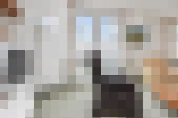Werfpad 9 Delft thumbnail 13