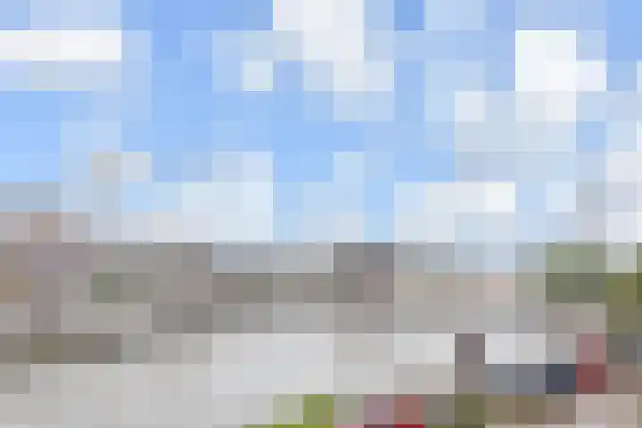 Werfpad 9 Delft thumbnail 15