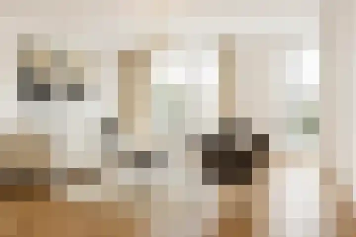 Werfpad 9 Delft thumbnail 19