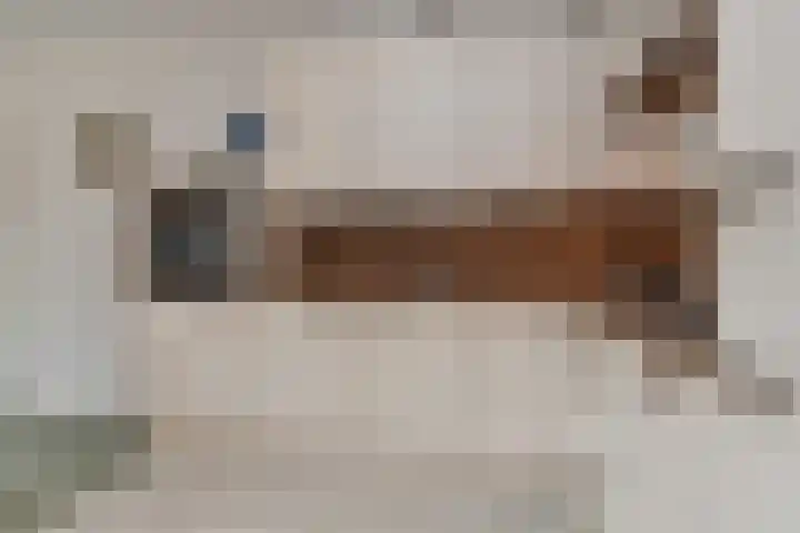 Werfpad 9 Delft thumbnail 25