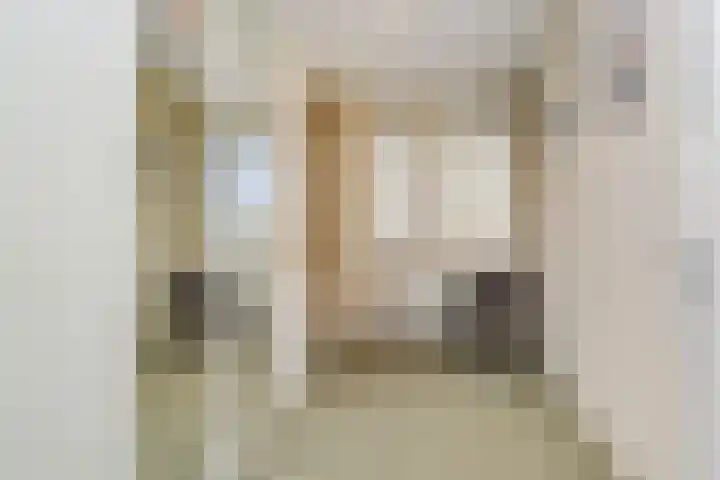 Werfpad 9 Delft thumbnail 35