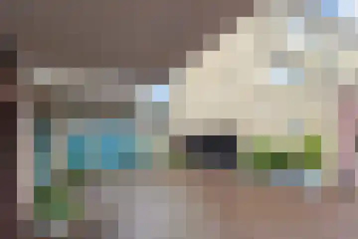 Werfpad 9 Delft thumbnail 44
