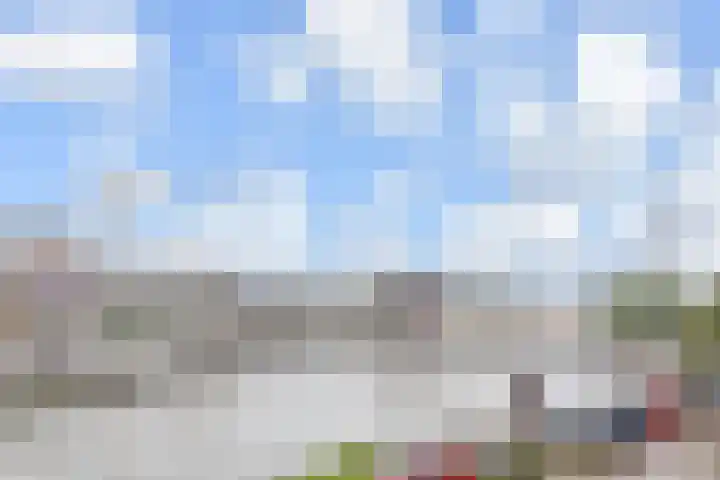Werfpad 9 Delft thumbnail 5