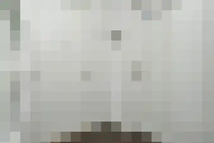 Werfpad 9 Delft thumbnail 8