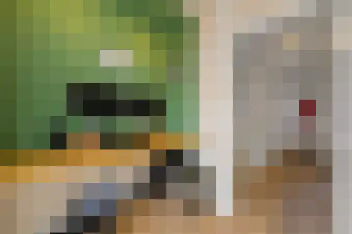 Werfstraat 159 Den Haag thumbnail 26