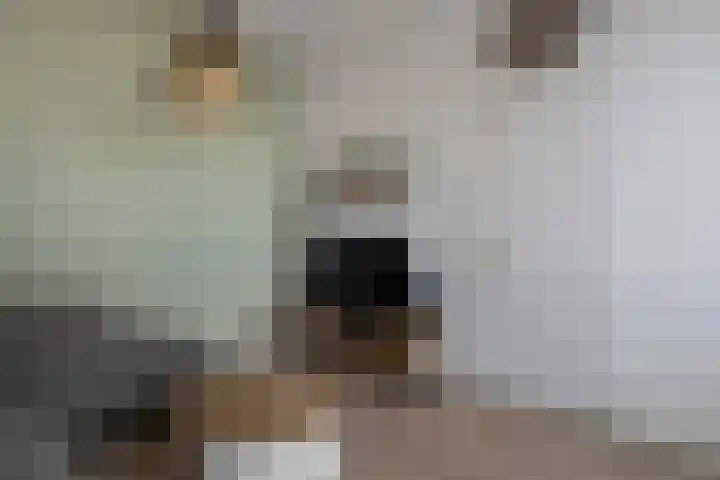 Werfstraat 16 Den Helder thumbnail 9