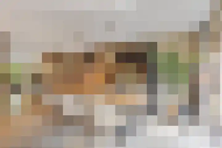 Werfstraat 29 Wieringerwerf thumbnail 12