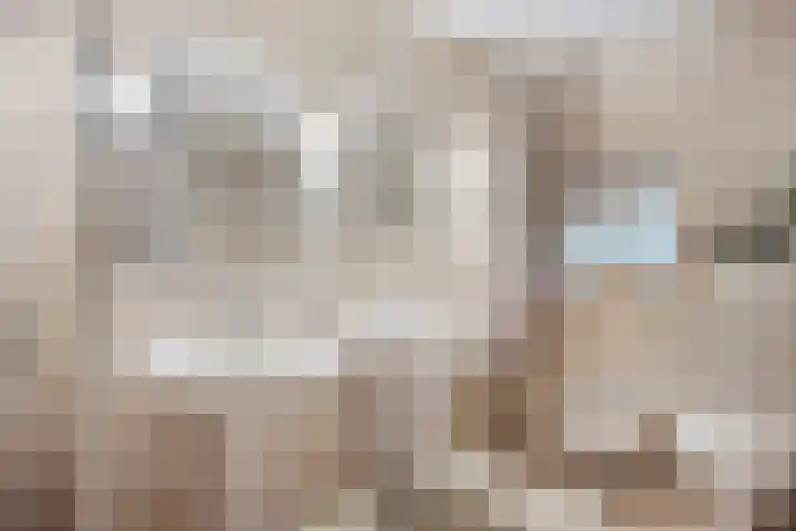 Werfstraat 29 Wieringerwerf thumbnail 24