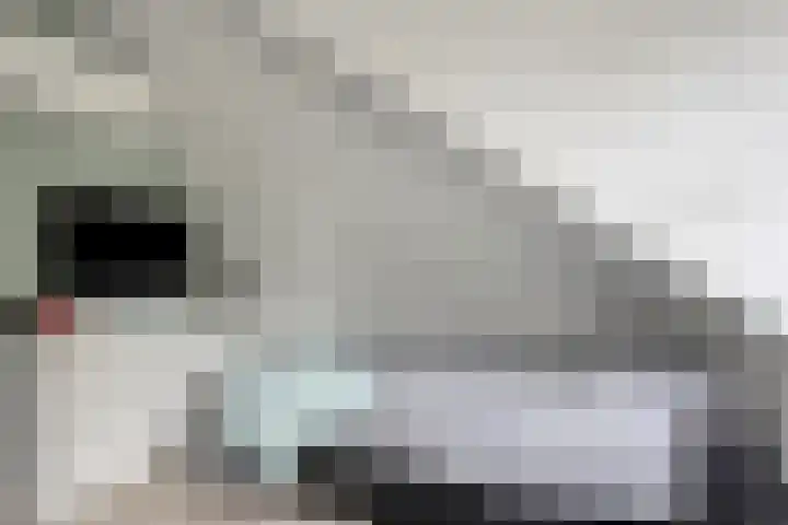 Werfstraat 29 Wieringerwerf thumbnail 32