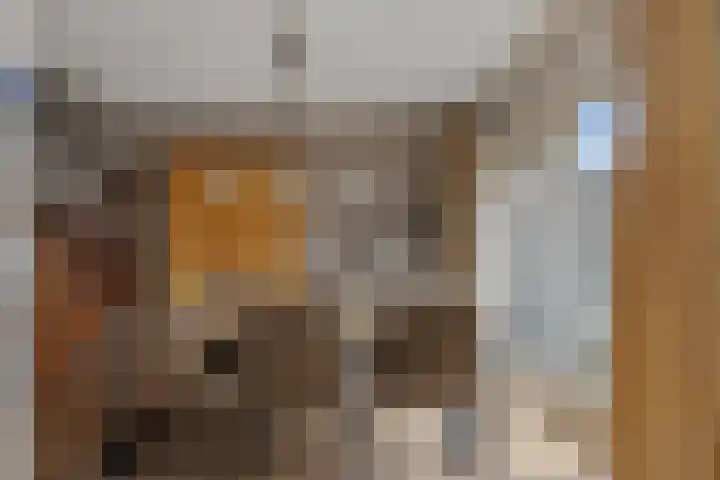 Werfstraat 74 Wieringerwerf thumbnail 12