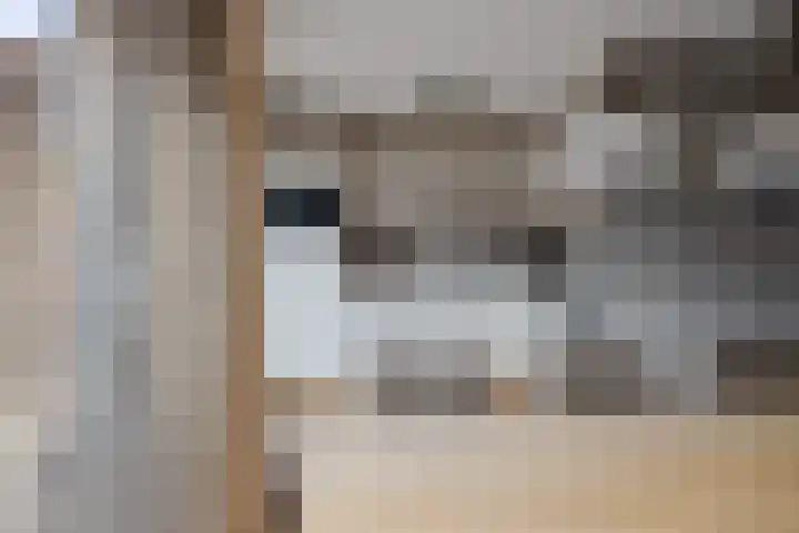 Werfstraat 74 Wieringerwerf thumbnail 13