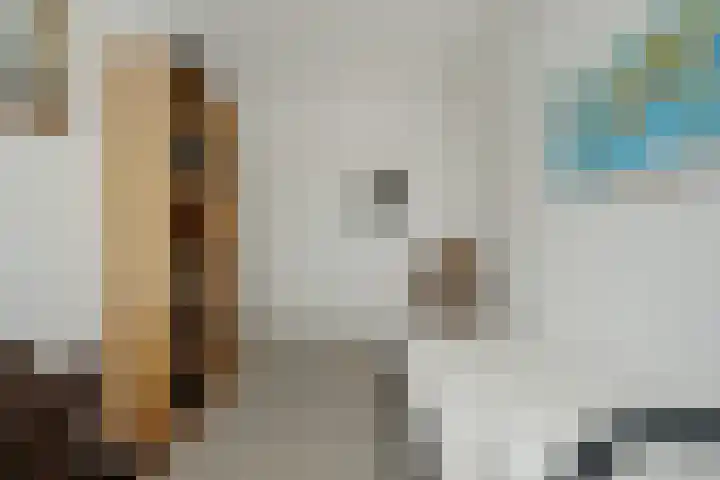 Werfstraat 79 Den Haag thumbnail 13