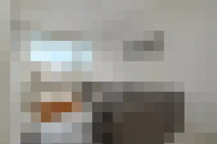 Werfstraat 79 Den Haag thumbnail 4