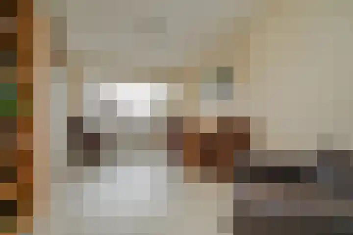 Werfstraat 79 Den Haag thumbnail 6