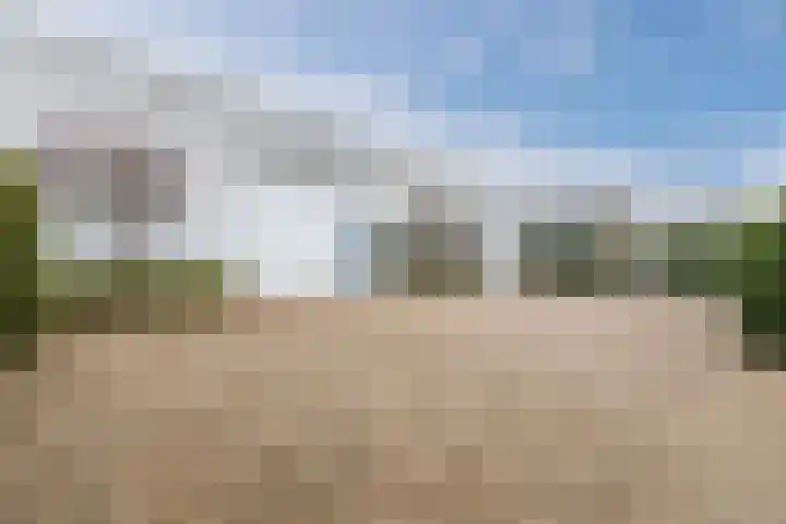 Werfweg 19 Lelystad thumbnail 4