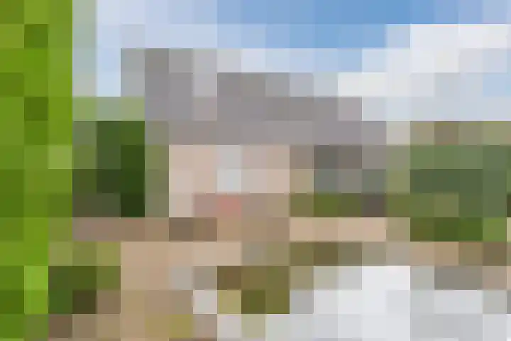 Werfweg 19 Lelystad thumbnail 6