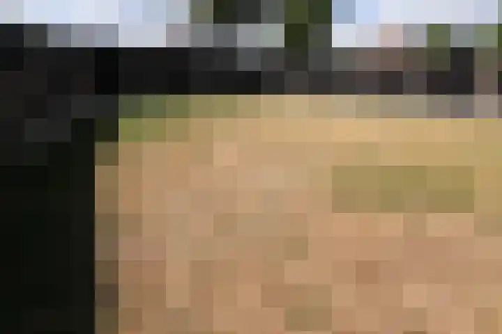 Werfweg 7 Lelystad thumbnail 10