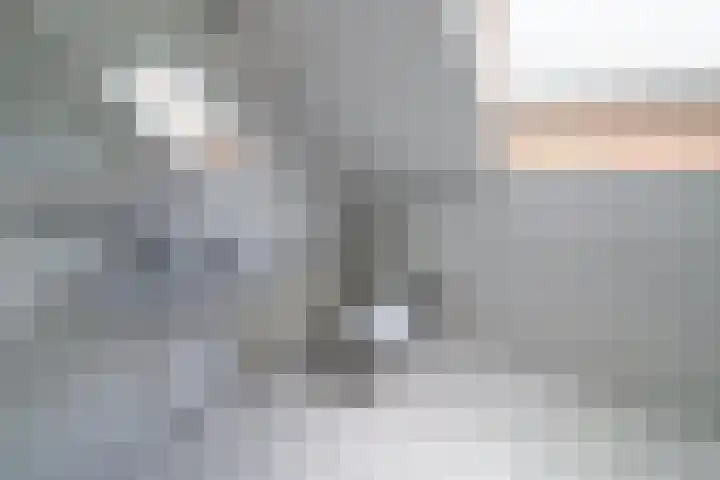 Werfweg 7 Lelystad thumbnail 17