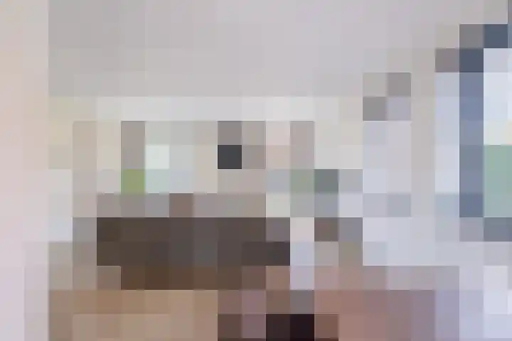 Wergeasterdyk 58 e Leeuwarden thumbnail 17