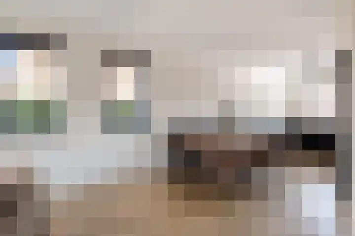 Wergeasterdyk 58 e Leeuwarden thumbnail 19