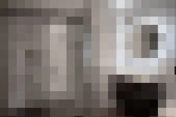 Wergeasterdyk 58 e Leeuwarden thumbnail 45