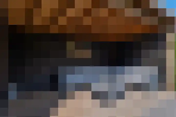 Wergeasterdyk 58 e Leeuwarden thumbnail 46