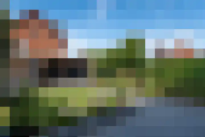 Wergeasterdyk 58 e Leeuwarden thumbnail 50