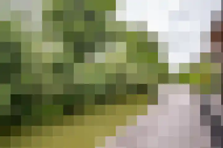 Wergeasterdyk 58 e Leeuwarden thumbnail 53