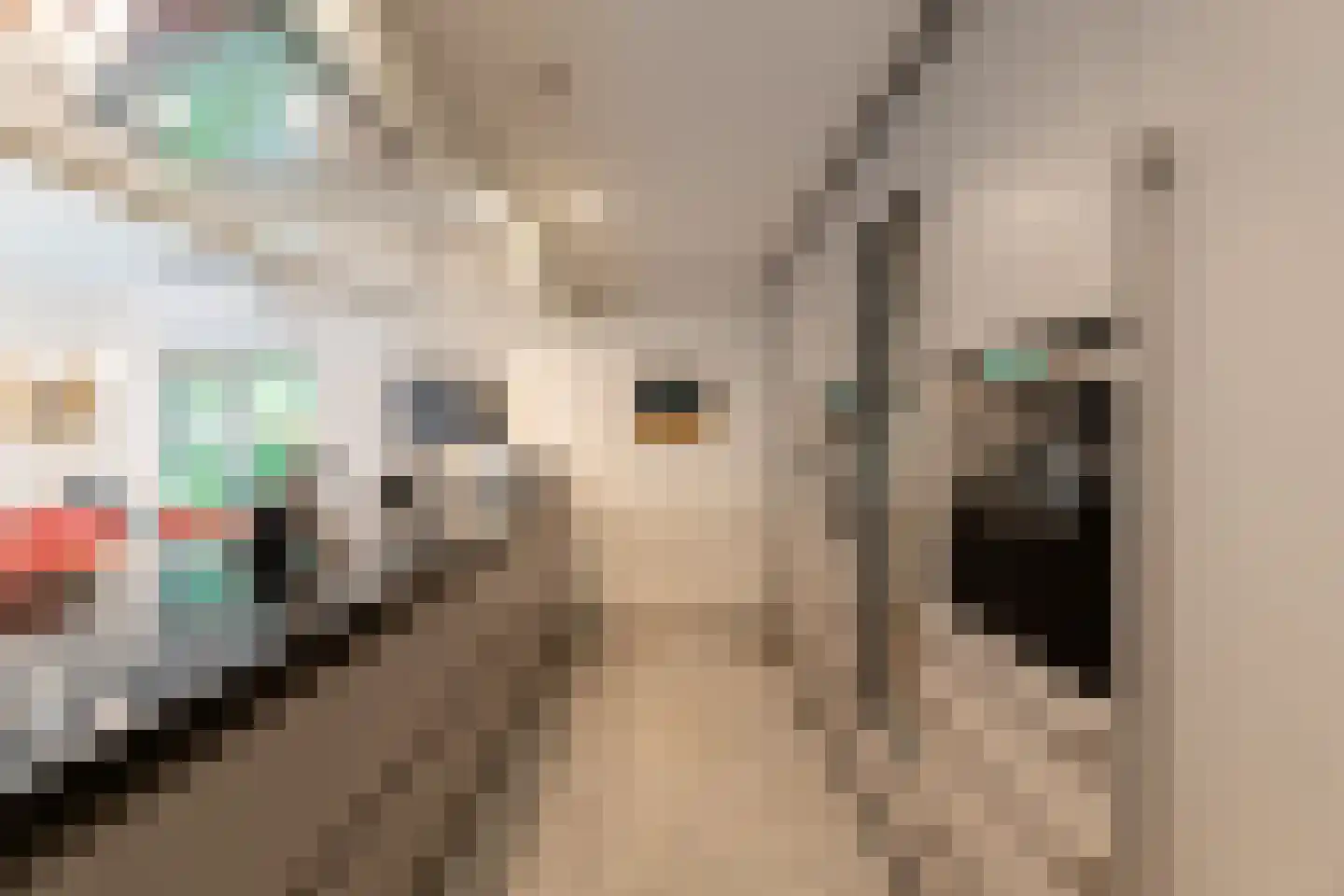 Werkdroger 10 Laren thumbnail 16