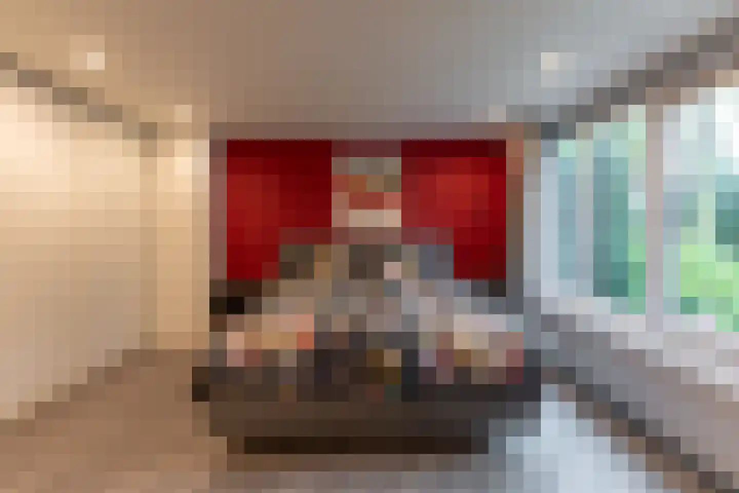 Werkdroger 10 Laren thumbnail 20