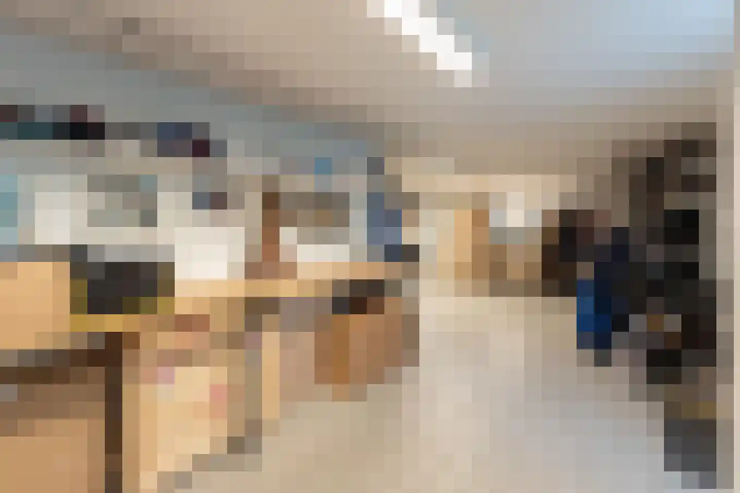Werkdroger 10 Laren thumbnail 26