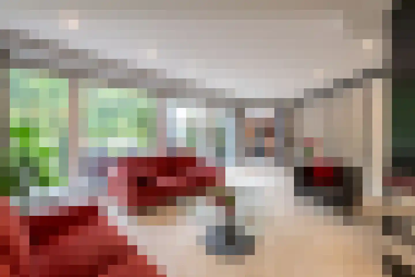 Werkdroger 10 Laren thumbnail 4