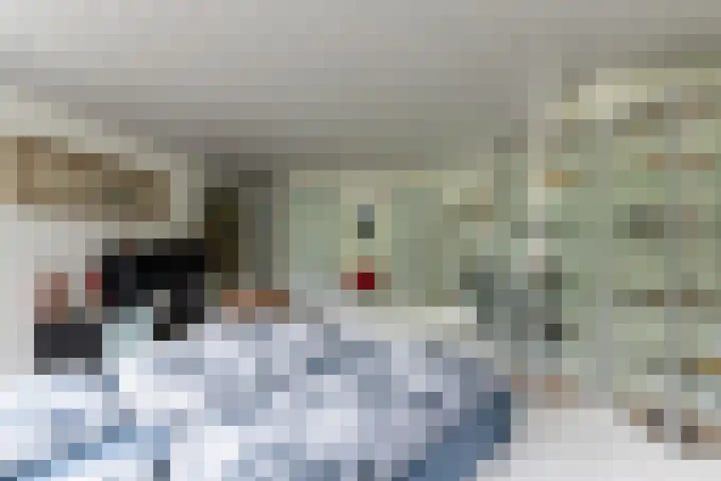Werkdroger 10 Laren thumbnail 43