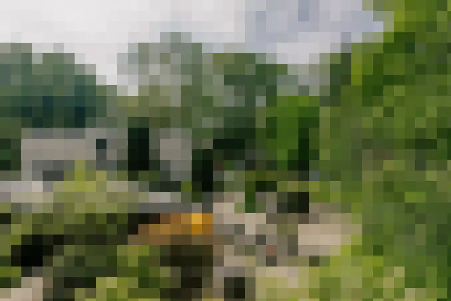 Werkdroger 10 Laren thumbnail 51
