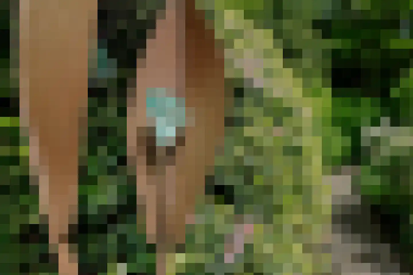 Werkdroger 10 Laren thumbnail 53