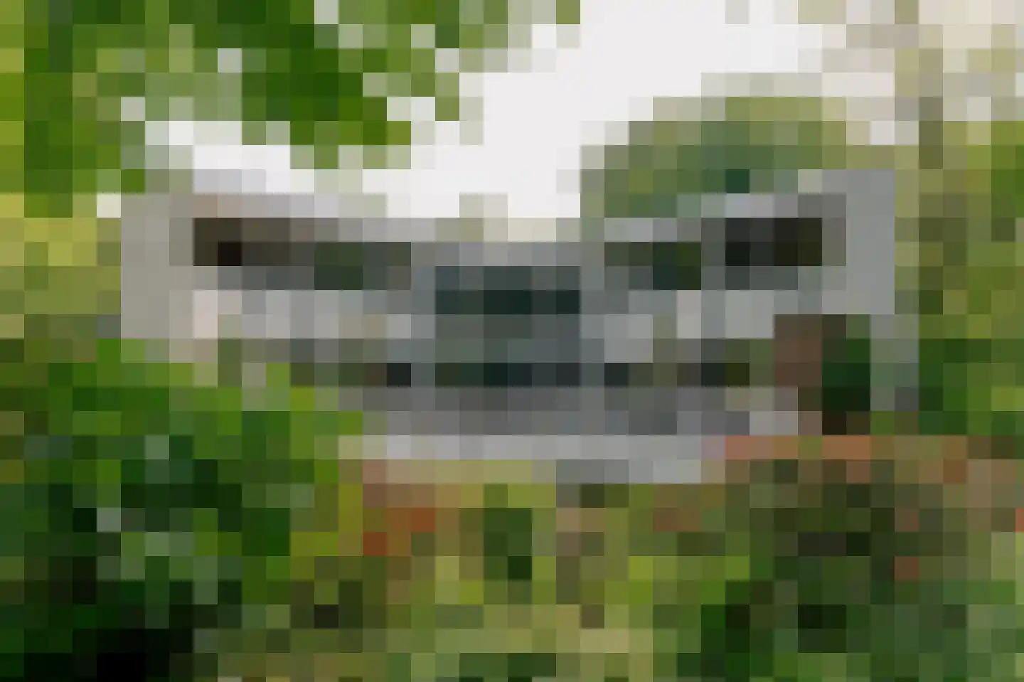Werkdroger 10 Laren thumbnail 54
