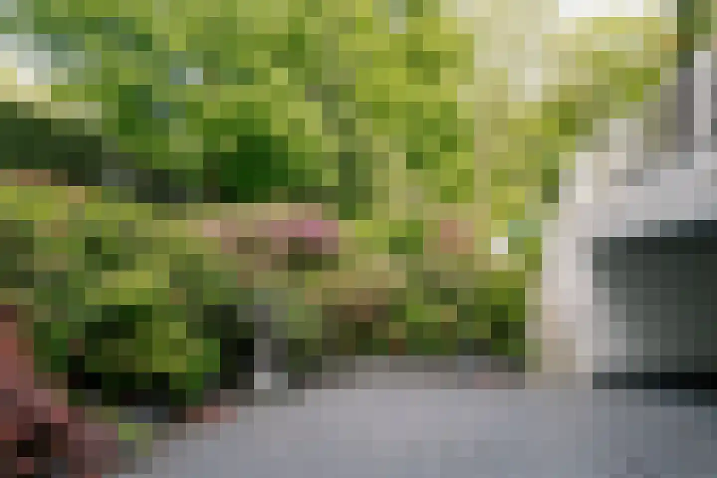 Werkdroger 10 Laren thumbnail 55