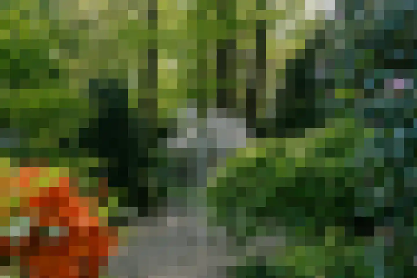 Werkdroger 10 Laren thumbnail 56