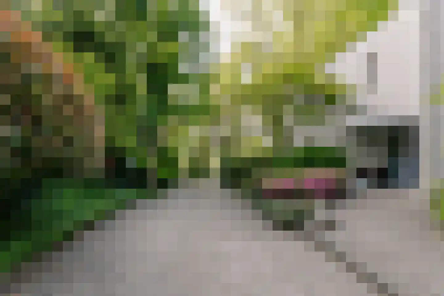 Werkdroger 10 Laren thumbnail 57
