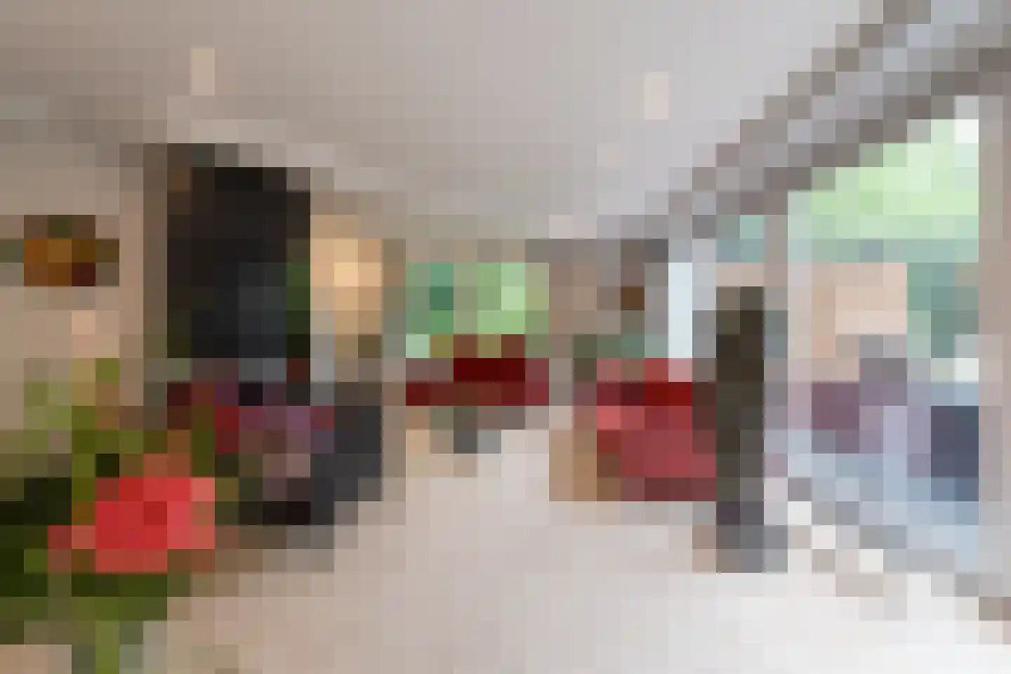 Werkdroger 10 Laren thumbnail 7