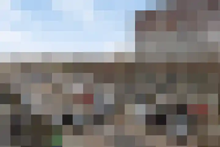 Werkerlaan 135 Zwolle thumbnail 11