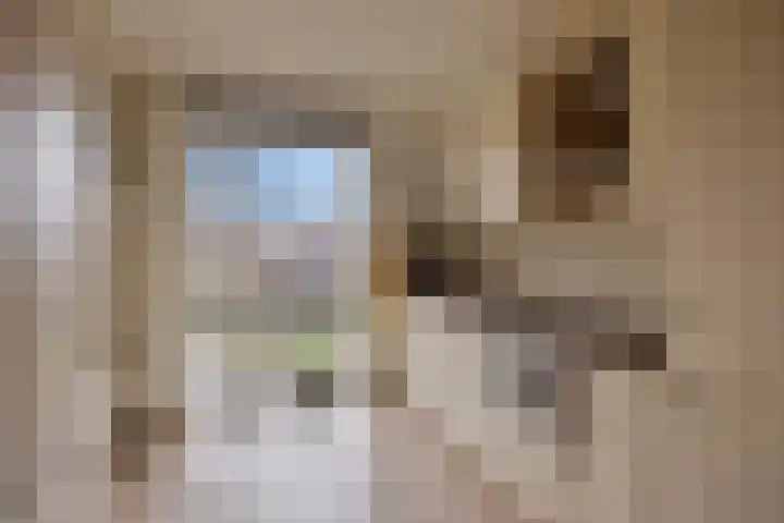 Werkerlaan 135 Zwolle thumbnail 13