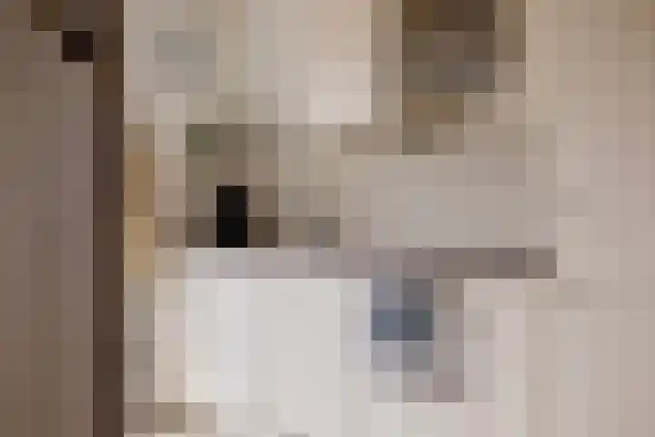 Werkerlaan 135 Zwolle thumbnail 14