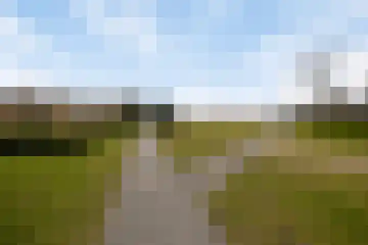 Werkerlaan 135 Zwolle thumbnail 24