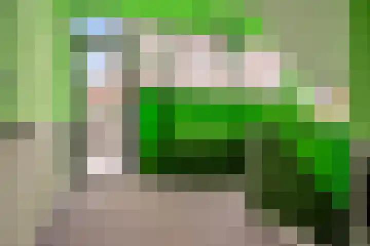 Werkerlaan 135 Zwolle thumbnail 4