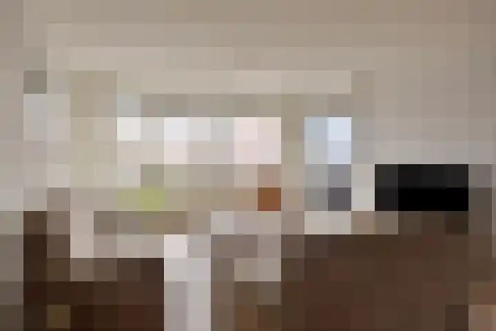 Werkerlaan 135 Zwolle thumbnail 8