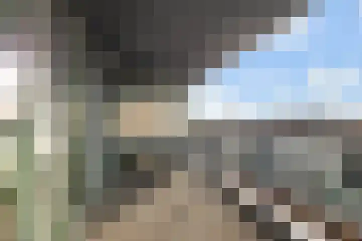 Werkerlaan 169 Zwolle thumbnail 13