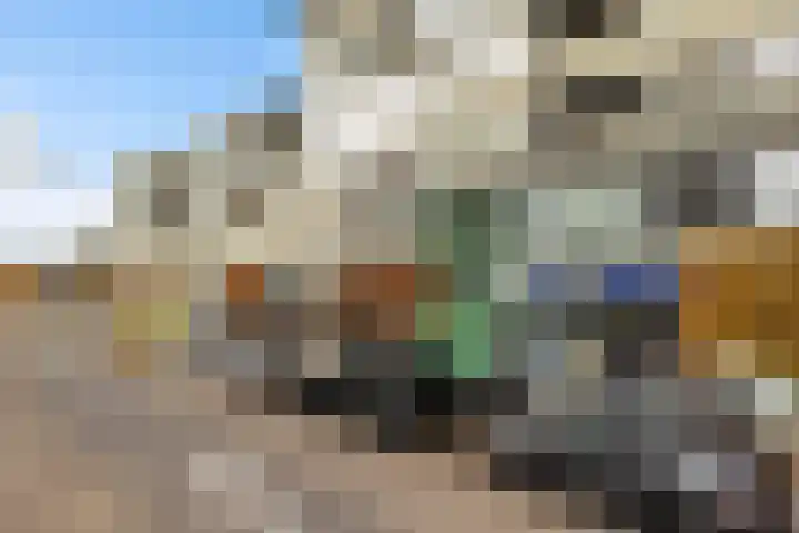 Werkerlaan 169 Zwolle thumbnail 6