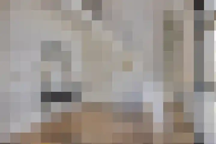 Werkerlaan 43 Zwolle thumbnail 12